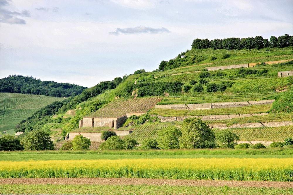 Hotel Winzerstube Ihringen Exteriör bild