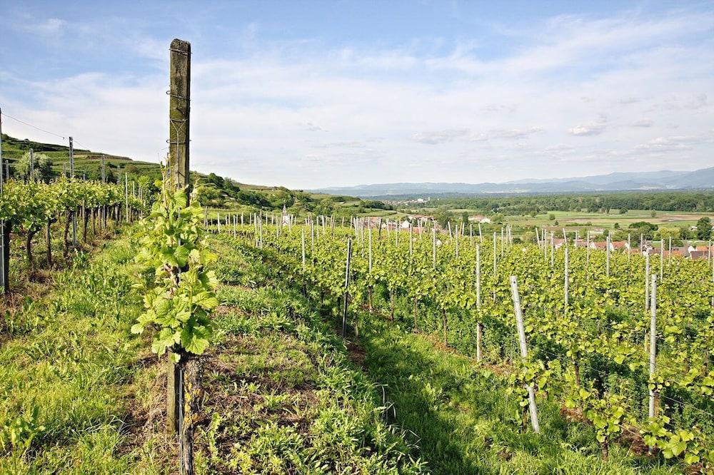 Hotel Winzerstube Ihringen Exteriör bild
