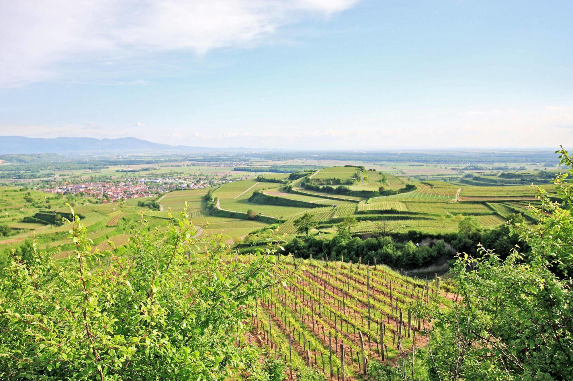 Hotel Winzerstube Ihringen Exteriör bild